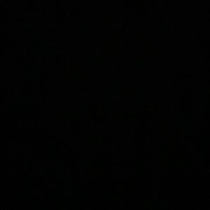 Meet your Posher, Ally